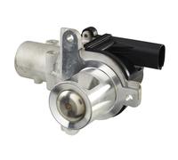 HELLA 6NU 010 171-741 Valvola EGR