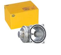 HELLA 6NU 014 865-731 Valvola EGR