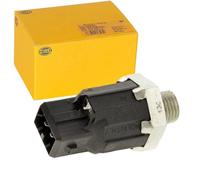 Hella Sensore di detonazione 6PG 009 108-881 2 poli 22 Nm Compatibile con Renault Kangoo