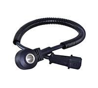 HELLA 6PG 013 114-461 - Sensore a bussola, 12 V, 2 poli, forma del connettore: rettangolare, con cavo