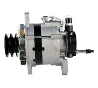 HELLA 8EL 012 429-271 Alternatore - 14V - 55A