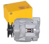 HELLA 8EL 015 630-341 Alternatore - 14V - 45A - per es. Suzuki Samurai Vehicle (SJ_)