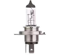 HELLA 8GJ 007 255-123 Lampadina, Faro principale
