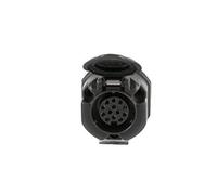 Hella 8JB 005 949-011 Presa - 13-polig - Spina: Stabiliti