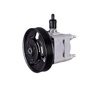 Pompa servosterzo idraulico con puleggia cinghia Poly-V 8TL 359 003-121 HELLA