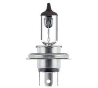 HELLA Lampadina Faro principale 8GJ 002 525-301 adatto per MERCEDES-BENZ MB-TRAC