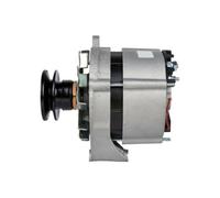 HELLA Alternatore Generatore 65A 14V per Seat Toledo I 1L VW LT 28-35