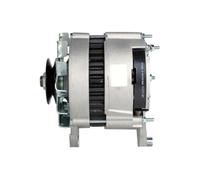 Hella Alternatore Per Austin Ford Renault