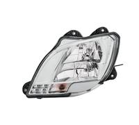 Hella Fanale Sinistro 1ED010116-531