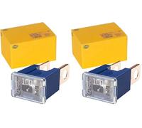HELLA Fusibile - Sicurezza blocco PAL serie 1-100A - blu - Spina: Maschio - Quantità: 1-8JS 740 026-231 (Confezione da 2)