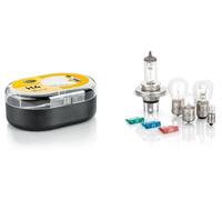 Hella Lampadine Assortimento Alogena P21W T4W P21/5W R5W H4 12V (