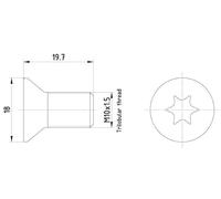 HELLA PAGID 8DZ 355 209-111 Bullone, Disco freno PAG0011 - 19.7mm - M10x1,5 - Torx interno