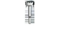 Heller Tools 12028 9 Heller Punta Forstner 12 mm Lunghezza totale 90 mm Alberi