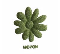 Hellery Heat Transfer Film Vinile Termoadesivo Effetto Puff Glitterato Espanso Texture Tridimensionale Alta Adesività Facilità Taglio Adatto a Regali, Verde Erba