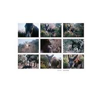 Hellner, Marc - Asleep On The Wing