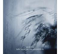 hello future me - the companion