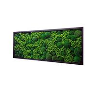 Hello Moss - Quadro muschio decorativo per la casa, cornice con muschio e cladonia, moderna parete di muschio vivente, decorazione unica da parete, diverse dimensioni (pino naturale, 100 x 50 cm)