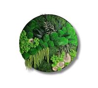 HelloMoss Foto muschio con cornice da 60 cm - immagine muschio XXL conservata con muschio islandese - decorazione di lusso per la vostra casa - decorazione per il soggiorno grande