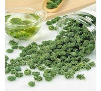 HELLOYOUNG 250g Tisana cinese al fiore di sanqi naturale Prodotto alimentare verde e naturale rilascia un aroma gradevole e fragrante Tè e tisane (In primo piano)