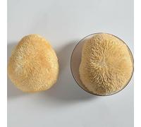 HELLOYOUNG 250g Tisana naturale ai funghi cinesi Cibo verde rafforza la milza e lo stomaco Tè e tisane