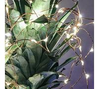 Hellum LED luci fiabesche per esterni rugiada perla luci fiabesche cavo di rame, 100 LED bianco caldo illuminato 9,9m, trasformatore con timer per giardino balcone festa matrimonio <59lm 578454