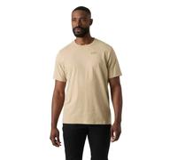 Helly Hansen Mens Core Graphic T 2.0, Cachi, L