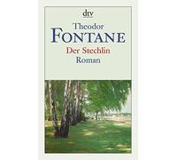 Helmuth Nürnberger Theodor Fontane Der Stechlin: Roman (Tascabile)
