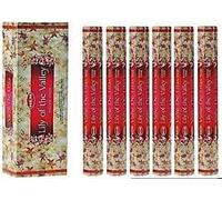 HEM - Bastoncini di incenso Lily of the Valley, 6 tubi esagonali (120 bastoncini in totale), aroma floreale fresco per rilassarsi, meditazione e casa, con porta incenso in legno JRose