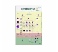 Hematopoiesis Poster Blood Cell Formation Chart Canvas Wall Art for Science Classroom Decor Medical School Study(Framed,12x18inch(30x45cm))