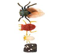 Hemobllo 1set Educativi Cicada Didattico Per Simulazione Del Ciclo Della Cicada Creatività e Conoscenza