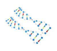 Hemobllo 2 Kit Dna Doppia per Educative e Didattica Genetica Struttura Molecolare Completa per Esperimenti Biologici e Chimici Gadget Scientifici Innovativi