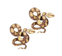 Hemobllo 2 pezzi Modelli Serpente Realistici Giocattoli Serpente Finti per Educazione Scientifica e Decorazioni Halloween Figure Animali Rettile per Apprendimento Interattivo e Musei