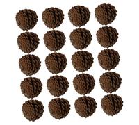 Hemobllo 20 Pezzi Naturali Secche per Decorazioni e Fotografia Materiale Diy Medio Adatto per Albero Natale Casa e Ufficio