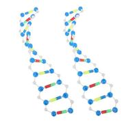 Hemobllo 2pezzi Riproduzione Di Cellula Doppia Spirale Del Kit Per Del Giocattolo Di Chimica