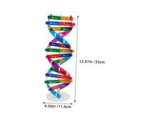 Hemobllo 4 Didattico Dna Doppia Struttura Umani Strumento Educativo per Scuola e Biologia Genetica Detailed