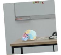 Hemobllo Cranio Smontabile in Plastica per Studio Anatomia Didattico Stem per Strumento Educativo Realistico e Resistente per Apprendimento Manuale