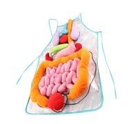 Hemobllo Grembiule Anatomia Corpo per Strumento Educativo con Organi Rimovibili Aiuto Didattico per Scuola e Giochi Apprendimento