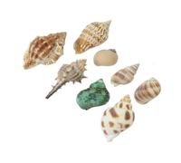 Hemobllo Mare Colorate Miste per Decorazione Casa e Collezionabili con Forme e Regalo Tema Spiaggia Oceanica