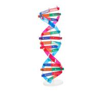 Hemobllo Modellino Dna Doppia Spirale in Abs Interattivo e Pratico per Didattica Scientifica Scolastica e Apprendimento Biologico Nelle Scuole Medie