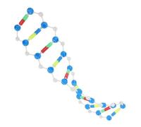 Hemobllo Molecolare Dna Doppia Kit Didattico Biologia Assemblabile per Scuola e Aiuto Insegnamento Scientifico per Studenti e Classi