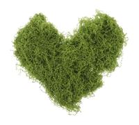 Hemobllo Muschio Artificiale per Terrari e Piante Artificiali, Tessuto in Poliestere Colore Verde Chiaro, Facile da Installare e Sicuro la Salute, per Aree Verdi e Decorazioni