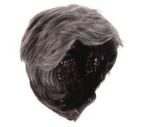 Hemobllo Parrucca Sintetica Corta Grigia da Uomo Parte Inclinata Elegante Resistente al Calore Aspetto Naturale per Cosplay e Feste di Halloween Facile da Pulire e Mantenere