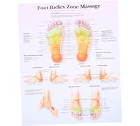 Hemobllo Poster Riflessologia Plantare per Studio Medico e Aula Mappa Didattica Resistente e Facile da Pulire per Conoscenze Massaggio Piede