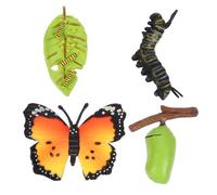 Hemobllo Simulazione Ciclo Di Crescita Farfalla Per Ragazzo Ragazza, Set Da 3 Esemplari Evolutivi Realizzati Con Materiali Di Precisione Per Apprendimento Visivo e Decorazione Educativa