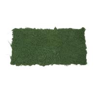 Hemobllo Tappeto di Muschio Artificiale Verde 100x50 Cm in Epe | Giardino Fatato e Ambienti Interni, Texture Mantenuta, Uso Ripetuto e Stile Decorativo Versatile
