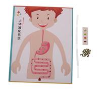 HEMOTON 4 Set Modelli Digerente Te Kit Educativo Scienza per Esperimenti Scolastici e Apprendimento per