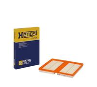 HEN E1333L Vani Motore