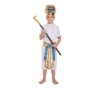 HENBRANDT Costume da ragazzo, multicolore, 10-12 anni