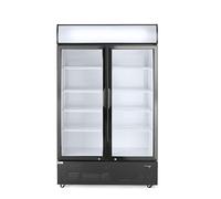HENDI Frigorifero pubblicitario Arktic per bevande, armadio refrigerato verticale con pannello retroilluminato, 2 porte, 512L, 0-10°C, 220V, 510W, 1120x585x(H)1900mm, acciaio verniciato a polvere nero