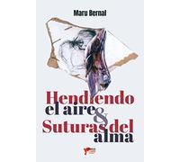 HENDIENDO EL AIRE SUTURAS DEL ALMA